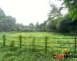 AMARPUR PROJECT 02