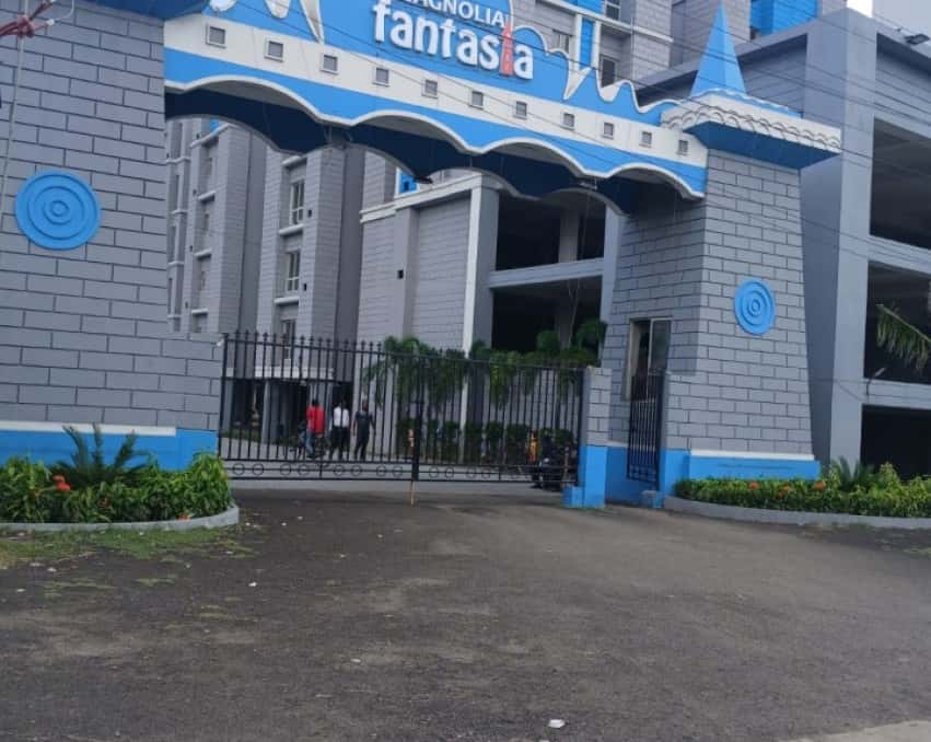 Magnolia Fantasia
