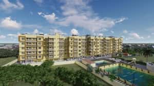 6512bd43d9.jpg